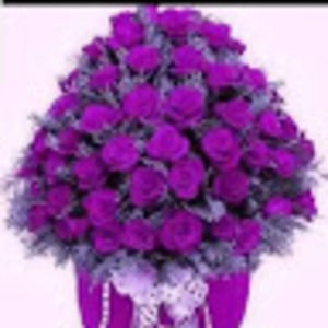 Meet your Posher, Nelly